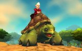 Riding_turtle